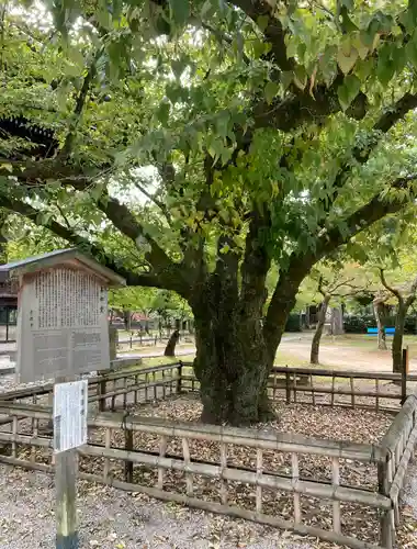 真正極楽寺（真如堂）(京都府)