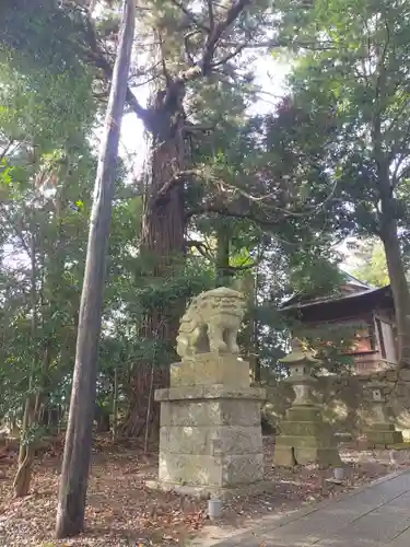 春日神社の狛犬