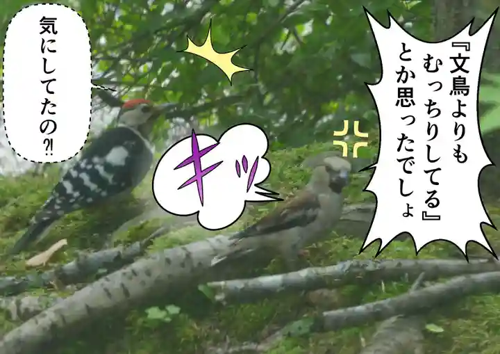 留辺蘂神社の動物