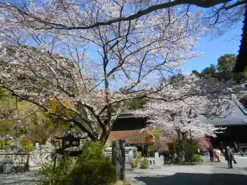 妙本寺の景色