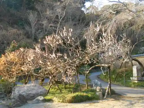 光則寺の庭園