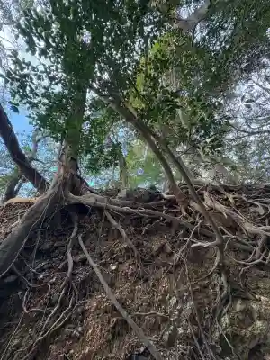 弁財天神社の{uncategorized: "未分類", other: "その他", undefined: "問題あり", building: "その他建物", grave: "お墓", sacred_gate: "鳥居", guardian: "狛犬", statue: "像", buddha: "仏像", history: "歴史", nature: "自然", garden: "庭園", animal: "動物", pagoda: "塔", temizu: "手水舎", mountain_gate: "山門・神門", sanctuary: "本殿・本堂", subordinate: "末社・摂社", art: "芸術", scenery: "景色", jizo: "地蔵", ema: "絵馬", goshuin: "御朱印", omikuji: "おみくじ", items: "授与品その他", amulet: "お守り", goshuincho: "御朱印帳", eats: "食事", festival: "お祭り", votive_dance: "神楽", shichigosan: "七五三参", wedding: "結婚式", experience: "体験その他", initially: "初詣", around: "周辺", anti_infection: "感染症対策"}
