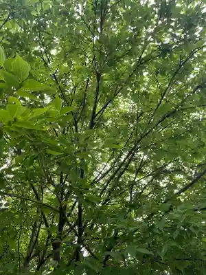和樂備神社(埼玉県)