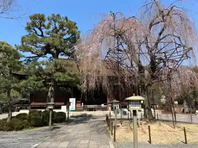 大報恩寺（千本釈迦堂）(京都府)