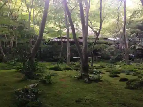 祇王寺の庭園