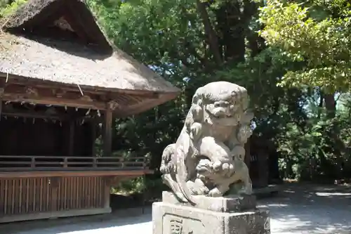 玉敷神社の狛犬