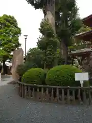 宝仙寺の建物その他