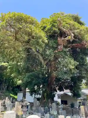 真福寺(神奈川県)