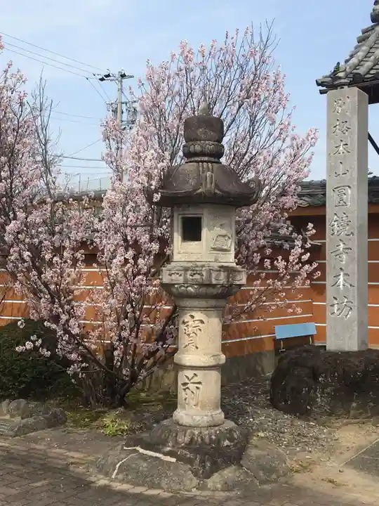 圓鏡寺のその他建物