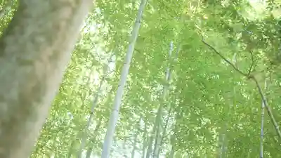 詩仙堂(丈山寺)(京都府)