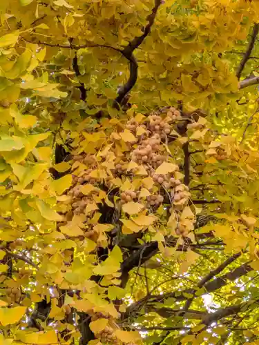 仙寿院(東京都)