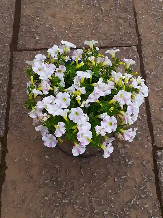 伏木香取神社(茨城県)