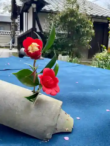 霊鑑寺門跡(京都府)