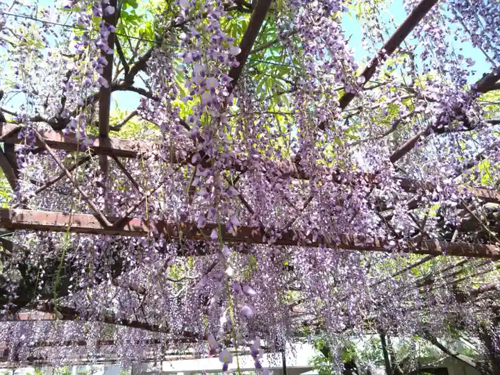 徳王稲荷社・金刀比羅社(愛知県)