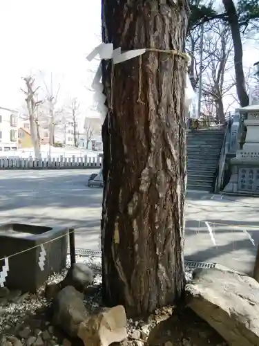手稲神社(北海道)