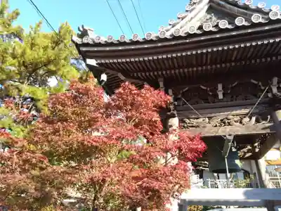 徳応寺(愛知県)
