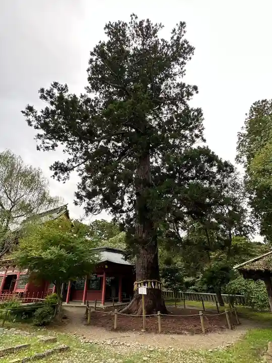 志波彦神社・鹽竈神社(宮城県)