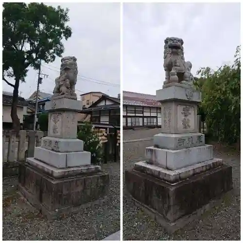 武井神社の狛犬