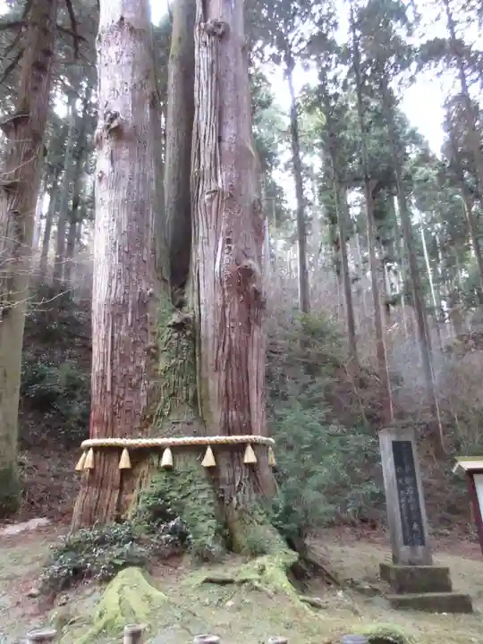御岩神社の自然
