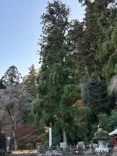 妙義神社(群馬県)