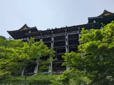 清水寺の本殿・本堂