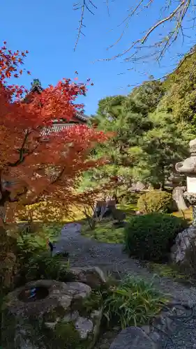 くろ谷 金戒光明寺(京都府)