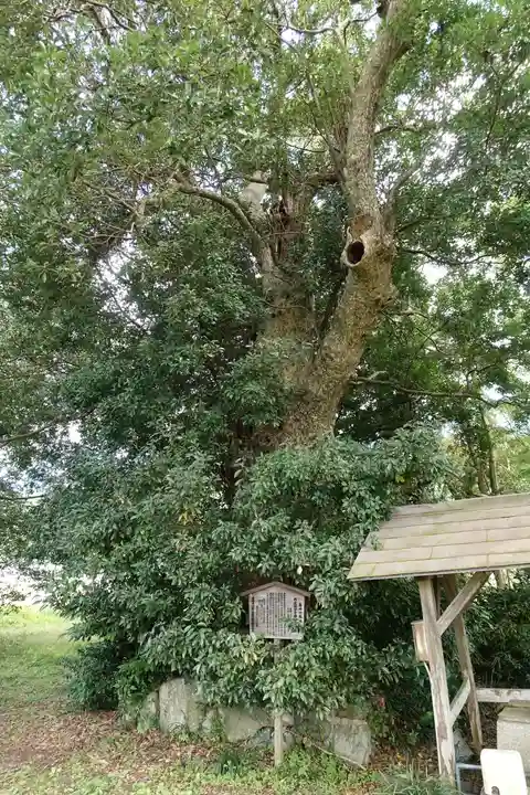 國分寺(国分寺)の自然