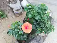 居木神社の自然