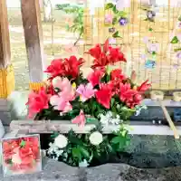 彌彦神社 (伊夜日子神社)の手水舎