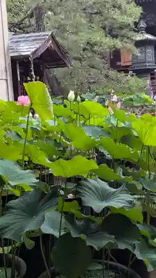 行願寺（革堂）(京都府)