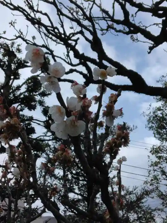 円乗院(東京都)