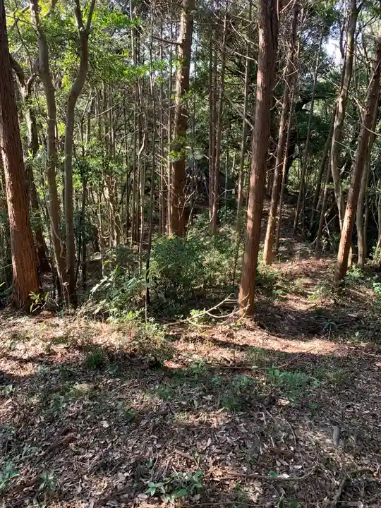 八坂神社の自然