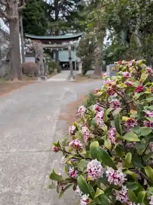 田端神社(東京都)
