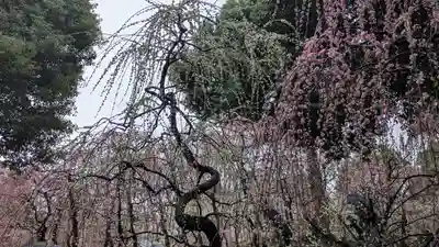 城南宮(京都府)