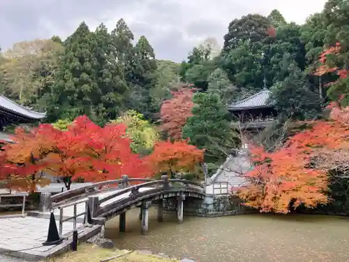 知恩院(京都府)