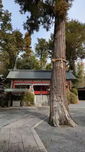 住吉大伴神社の本殿・本堂
