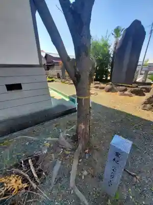 雷電神社(群馬県)