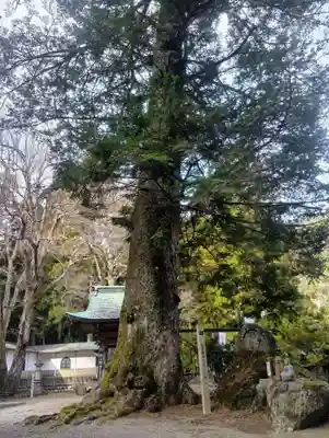 甘南美寺(岐阜県)