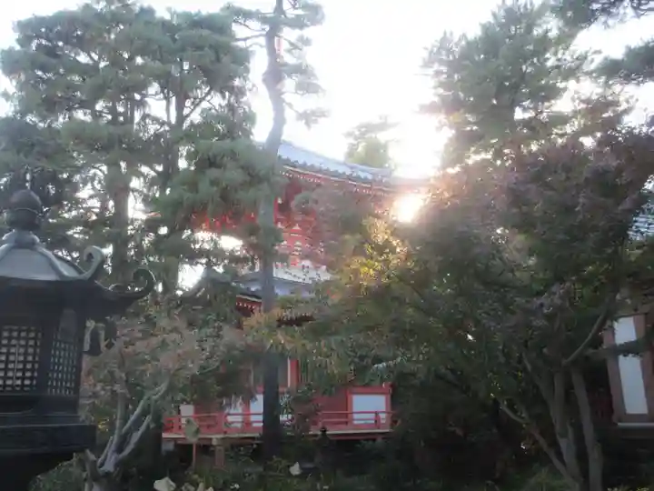 正覚院(東京都)