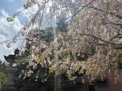 成田山新勝寺(千葉県)