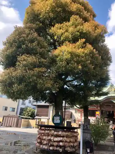 今戸神社の自然