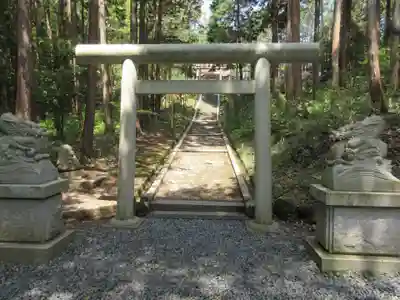 眞名井神社(籠神社奥宮)の鳥居