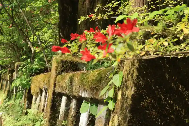 榛名神社の{uncategorized: "未分類", other: "その他", undefined: "問題あり", building: "その他建物", grave: "お墓", sacred_gate: "鳥居", guardian: "狛犬", statue: "像", buddha: "仏像", history: "歴史", nature: "自然", garden: "庭園", animal: "動物", pagoda: "塔", temizu: "手水舎", mountain_gate: "山門・神門", sanctuary: "本殿・本堂", subordinate: "末社・摂社", art: "芸術", scenery: "景色", jizo: "地蔵", ema: "絵馬", goshuin: "御朱印", omikuji: "おみくじ", items: "授与品その他", amulet: "お守り", goshuincho: "御朱印帳", eats: "食事", festival: "お祭り", votive_dance: "神楽", shichigosan: "七五三参", wedding: "結婚式", experience: "体験その他", initially: "初詣", around: "周辺", anti_infection: "感染症対策"}