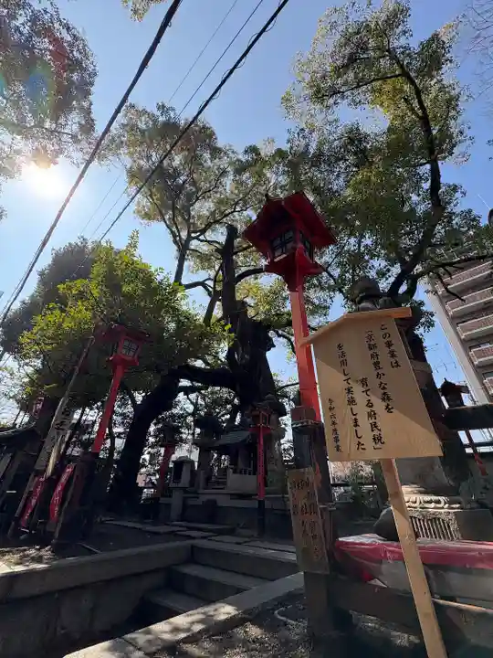 若一神社(京都府)