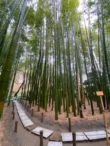報国寺(神奈川県)