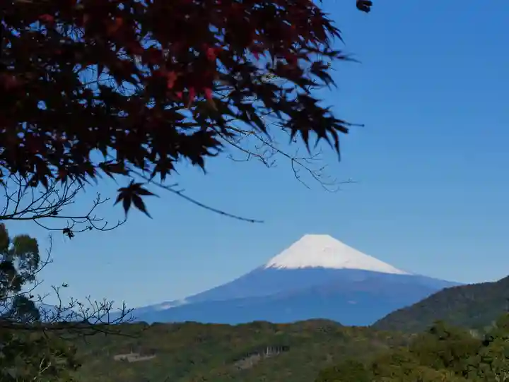 葭原観音堂の自然