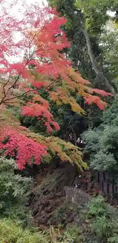 増上寺塔頭 三縁山 宝珠院の周辺