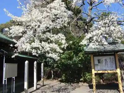 大宮八幡宮のその他建物