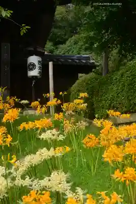横浜　西方寺(神奈川県)