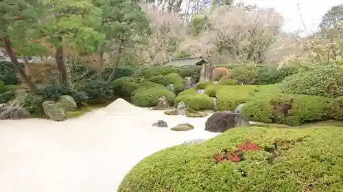 明月院の庭園